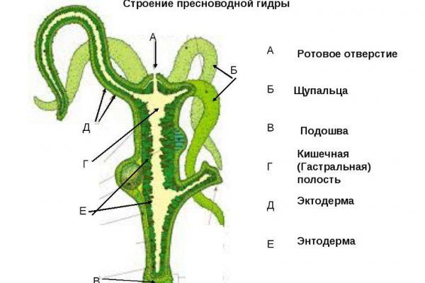 Какая сейчас ссылка на кракен